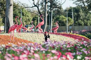 BIB: 
                            <button type="button" onclick="openModal(27344256)" class="btn btn-primary btn-sm float-right btn-popup" data-toggle="modal" data-target=".modal-high-quality">
                        <i class="fas fa-shopping-cart"></i> Add to Cart
                    </button>
                                            <button type="button" onclick="isThisMe(27344256, true)" class="btn btn-success btn-sm float-right btn-popup btn-isme hidden" data-toggle="tooltip" data-placement="bottom" title="นี่คือรูปของคุณใช่ไหม คลิกที่นี่เพื่อเอาเข้าอัลบั้ม">
                        <i class="fas fa-plus"></i> Add to album
                    </button>
                    <button type="button" onclick="isThisMe(27344256, false)" class="btn btn-warning btn-sm float-right btn-popup btn-isnotme hidden">
                        <i class="fas fa-ban"></i> Remove from album
                    </button>